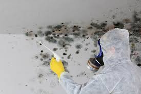 Why You Should Choose Our Mold Remediation Services in Four Square Mile, CO